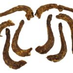 Petsnack Kalkoennek