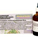 Dierendrogist World Of Herbs Fytotherapie Coprofagie Ontlasting Eten