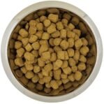 Yourdog Koningspoedel Volwassen