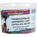 Dierendrogist Frambozenblad Capsules