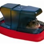 Savic Hamstertoilet