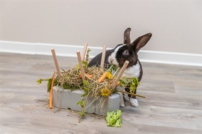 Trixie Voederruif Keramiek / Hout Grijs - Image 10