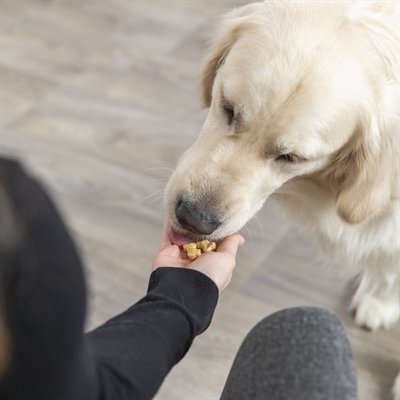 Trixie Bakmat Met Botjes Voor Hond Silicone - Image 8
