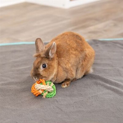 Trixie Ringen Van Maislies - Image 3
