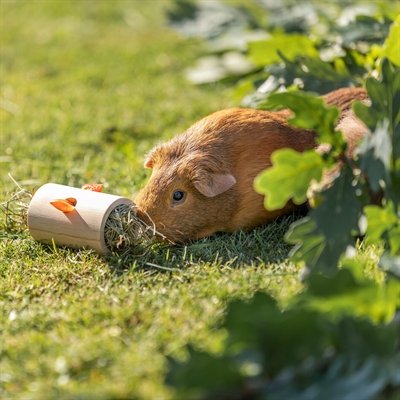 Trixie Snack Roll Hout Onbehandeld - Image 7