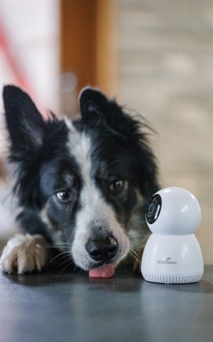 Numaxes Eyenimal Pet Vision Live Hd Camera Zonder Geluid Detectie - Image 6