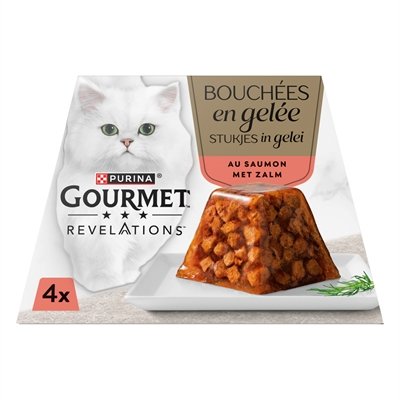 Gourmet Revelations Zalm In Gelei - Image 3