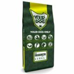 Yourdog Petit Brabançon Pup