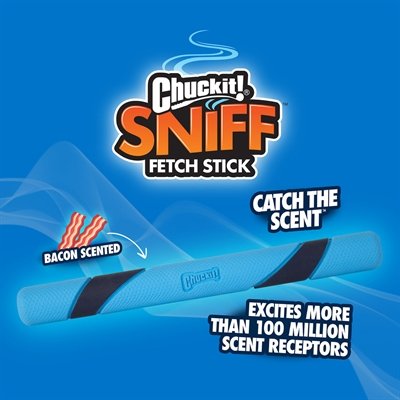 Chuckit Sniff Fetch Stick Bacongeur - Image 3