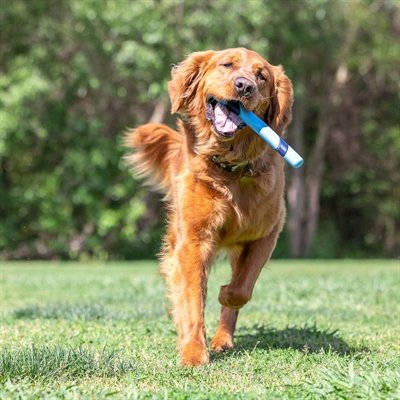 Chuckit Sniff Fetch Stick Bacongeur - Image 5