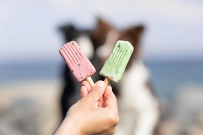 Trixie Ice Pop Roze 55 Gr - Image 6