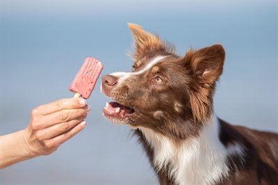 Trixie Ice Pop Roze 55 Gr - Image 9