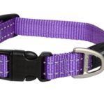 Rogz For Dogs Snake Halsband Paars 16 Mmx26-40 Cm