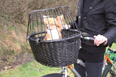 Trixie Wilgen Fietsmand Voorop Zwart Met Kussen En Kap 50X35X41 Cm - Image 9