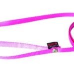 Martin Hondenriem Nylon Roze 120X1 Cm