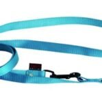 Martin Hondenriem Multipurpose Nylon Turquoise 200X2 Cm