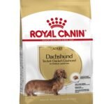 Royal Canin Dachshund / Teckel Adult 1,5 Kg