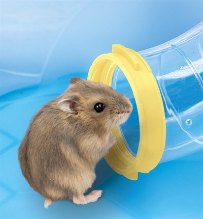 Imac Hamsterkooi Fantasy 58X38X38,5 Cm - Image 4