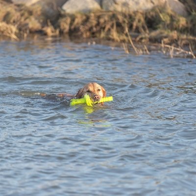 Trixie Dog Activity Mot-Aqua Apporteer Dobber Limegroen 29 Cm - Image 4