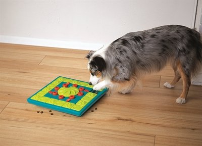Nina Ottosson Multipuzzle Blu 38X38X5 Cm - Image 2