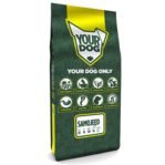 Yourdog Samojeed Pup 12 Kg
