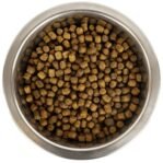 Yourdog Koningspoedel Pup 12 Kg