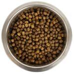 Yourdog Dwerg- Of Toypoedel Pup 12 Kg