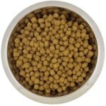 Yourdog Dwerg- Of Toypoedel Volwassen 12 Kg