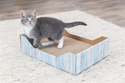 Trixie Krabmand Karton Catnip Turquoise 45X33X12 Cm - Image 5
