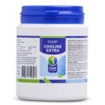 Puur Natuur Puur Choline Extra 100 Gr