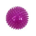 Zolux Pop Tpr Stekelbal Roze 8X8X8 Cm