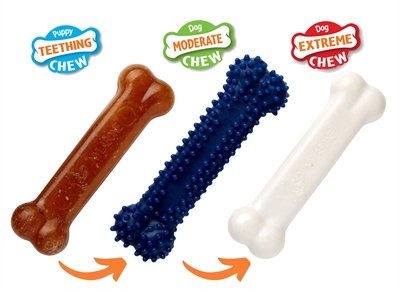 Nylabone Puppy Chew Puppy Starter Kit Chicken Tot 11 Kg - Image 2