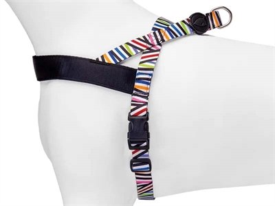 Morso Norwegian Hondentuig Gerecycled Spaghetti Incident 39-48X35 Cm - Image 3