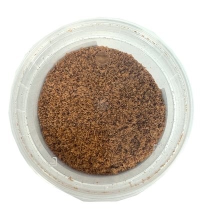 Dierendrogist Krill 150 Gr - Image 2