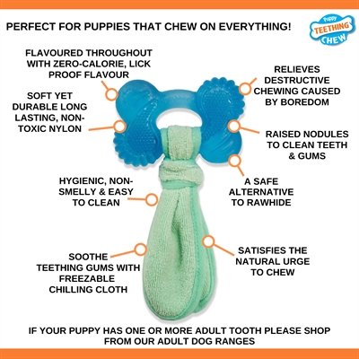 Nylabone Puppy Freezer Bone With Wash Cloth Pindakaassmaak Medium Tot 16 Kg - Image 2