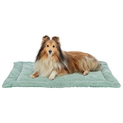 Trixie Ligmat Jonna Ribfluweel Salie Groen 90X65 Cm - Image 4
