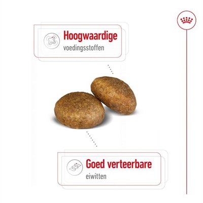 Royal Canin Maxi Adult 15 Kg - Image 2