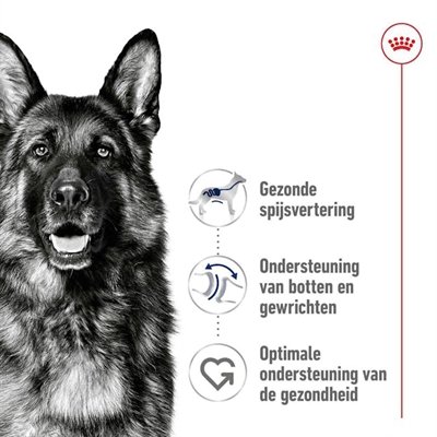 Royal Canin Maxi Adult 15 Kg - Image 3