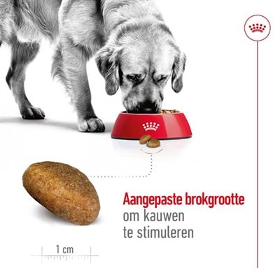 Royal Canin Maxi Adult 15 Kg - Image 4