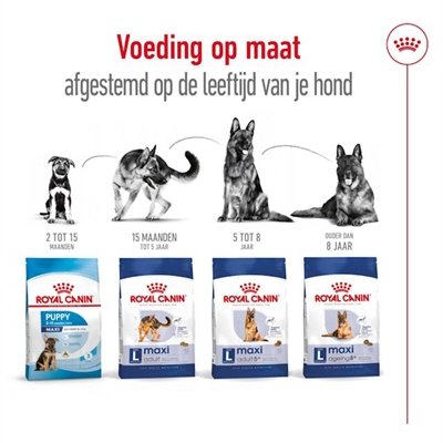Royal Canin Maxi Adult 15 Kg - Image 5