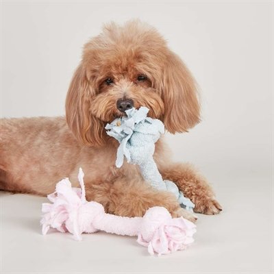 Fofos Terry Puppy Touw 2 Knopen 22X6X6Cm - Image 3