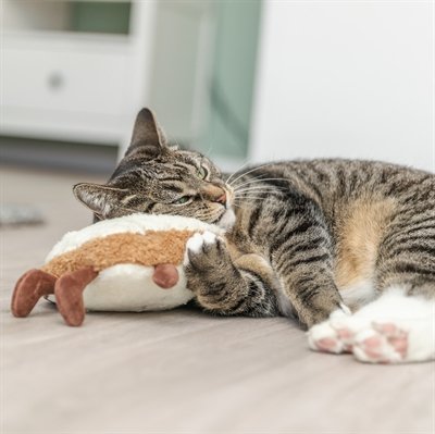 Trixie Toast Xxl Pluche Met Amerikaanse Catnip 18 Cm - Image 2